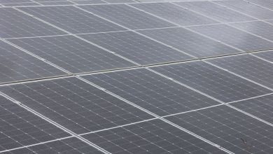 Une usine chinoise de panneaux solaires va créer 450 emplois